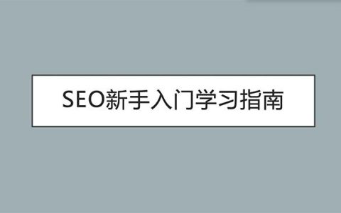 教你新手seo指南专家指导学习。