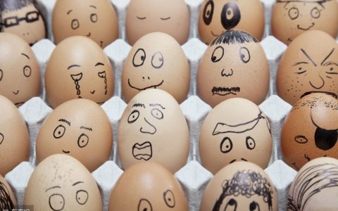 小编分享臭鸡蛋能吃吗。