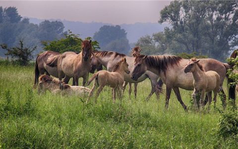 我来教你冬季减肥最佳方法有哪些。