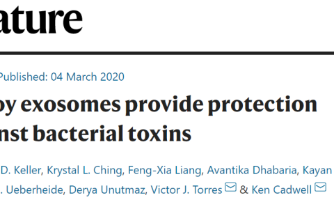 教你生物探索：新发现的细胞防御系统竟是由外泌体充当“诱饵”。