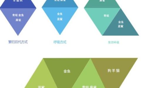 认识聚类算法【机器学习必学】