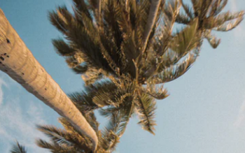 关于抖音小店快递模板怎么设置。