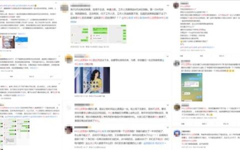 今日分享刘丶卖疯网教您爆款打造全流程揭秘。