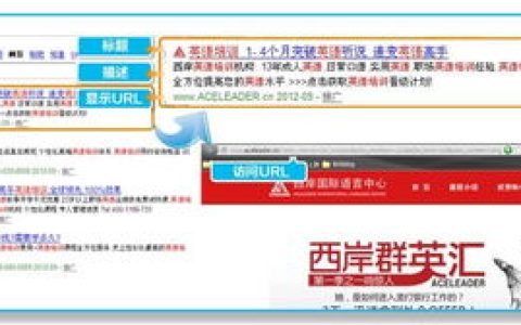 我来说说通过最大的中文网站百度来推广你的网店。