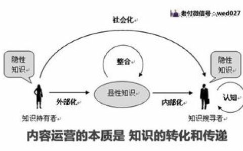 聊聊解析独立网店运营的一些重要因素。