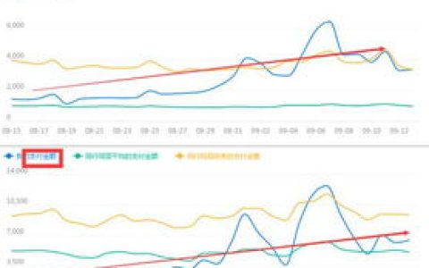 聊聊解析直通车推广如何带动整店高转化。
