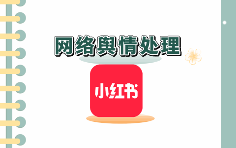网络seo搜索排名优化公司。