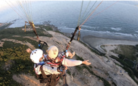 抖音seo排名优化。