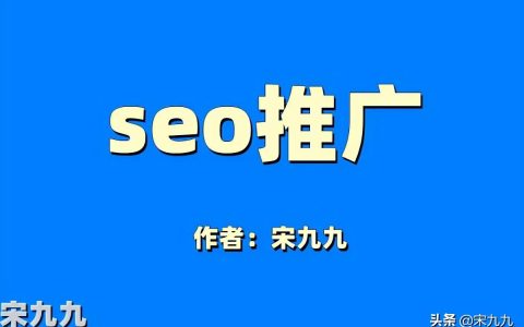 宋九九：SEO推广是什么。